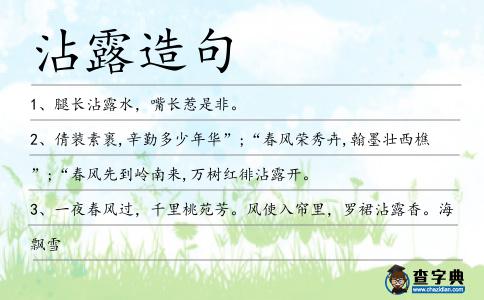 沾露造句