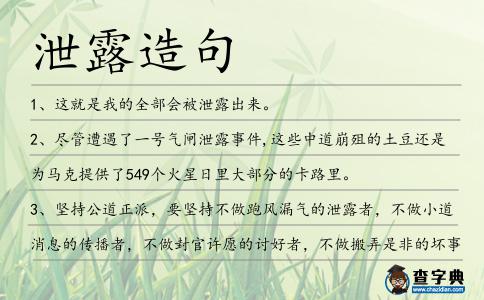 泄露造句