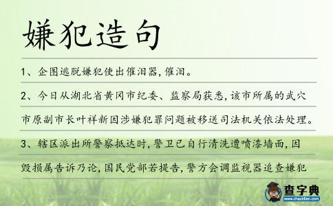 嫌犯造句