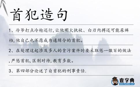 首犯造句