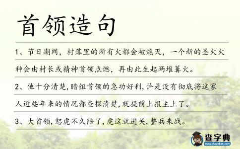 首領(lǐng)造句