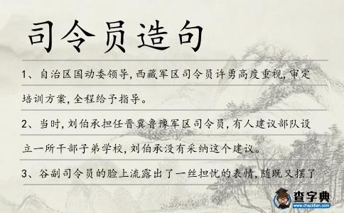 司令員造句