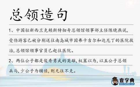 總領造句