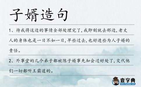 子婿造句