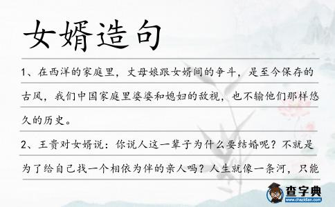 女婿造句