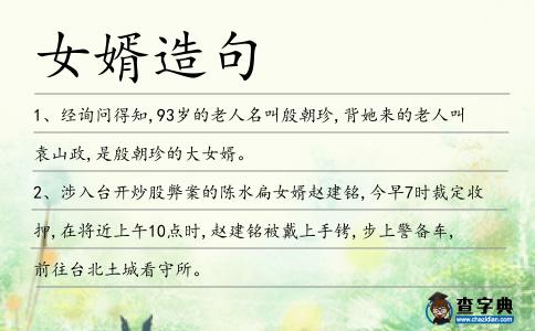 女婿造句
