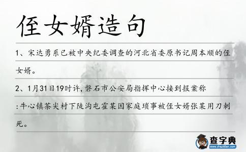 侄女婿造句