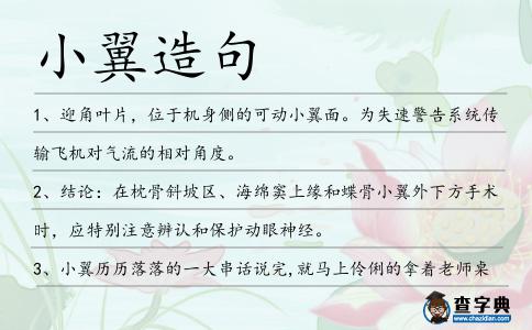小翼造句