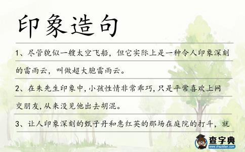 印象造句