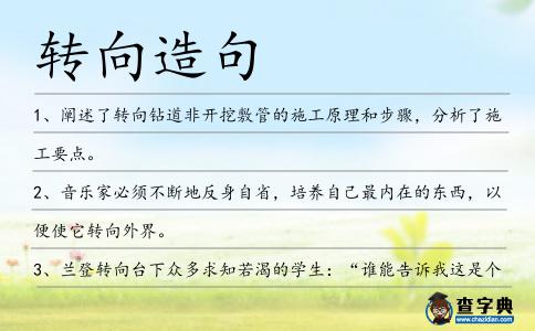 轉(zhuǎn)向造句