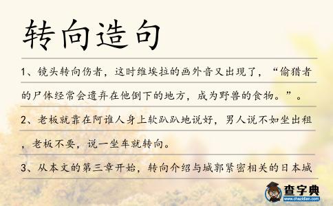 轉(zhuǎn)向造句