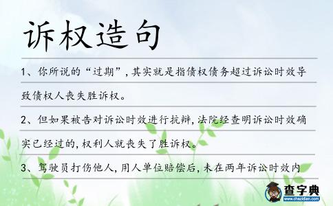 訴權(quán)造句