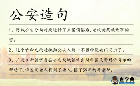公安造句