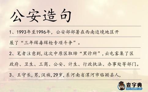 公安造句