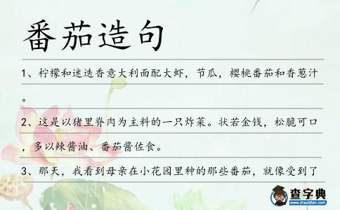 番茄造句