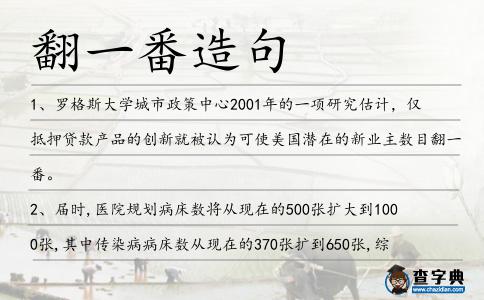 翻一番造句