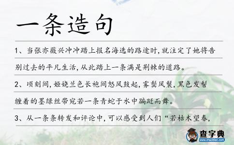 一條造句
