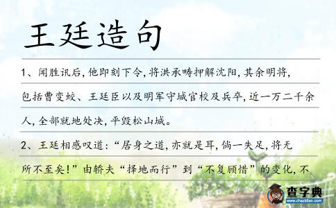 王廷造句