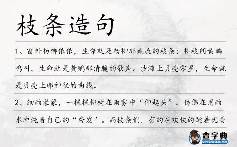 枝條造句