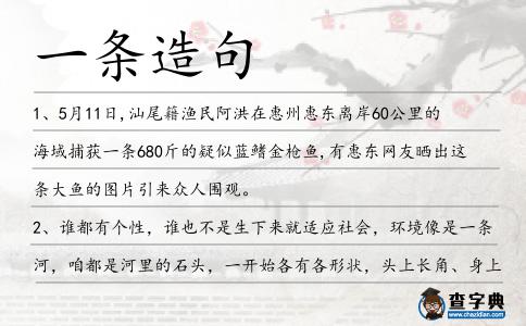 一條造句