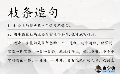 枝條造句