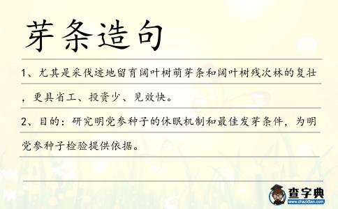 芽條造句