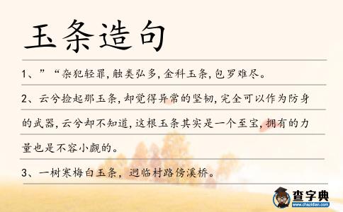 玉條造句