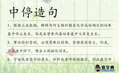 中停造句
