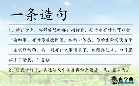一條造句