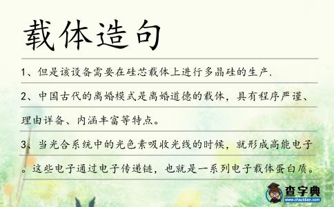 載體造句