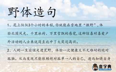 野體造句