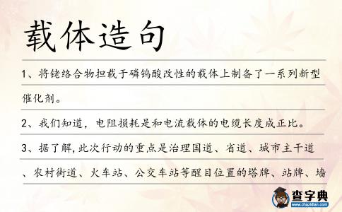 載體造句