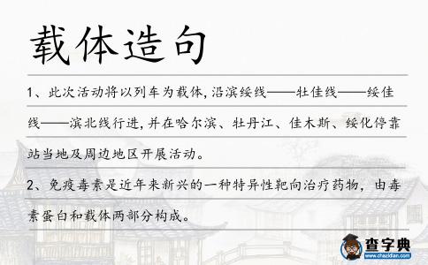 載體造句