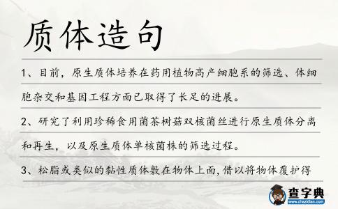 質體造句