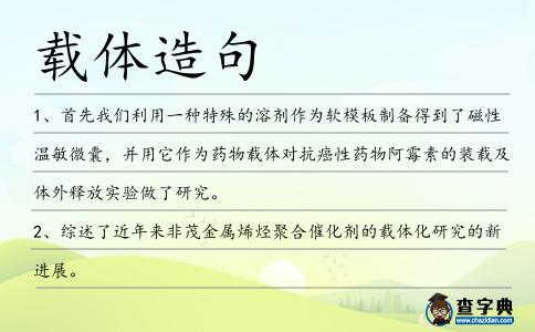 載體造句