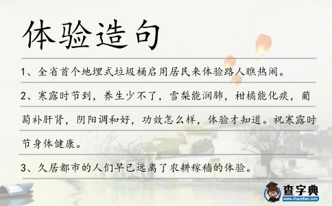 體驗造句
