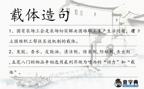 載體造句