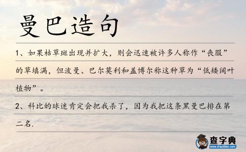 曼巴造句