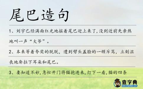尾巴造句