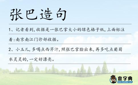 張巴造句