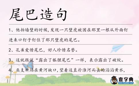 尾巴造句