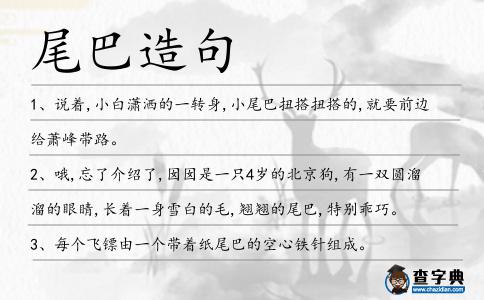 尾巴造句