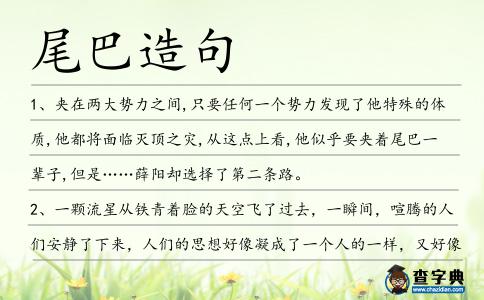 尾巴造句