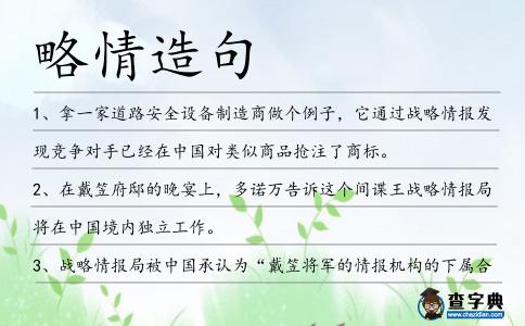 略情造句