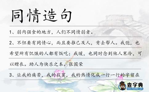 同情造句