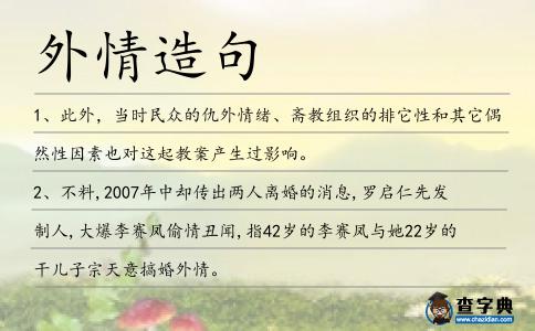 外情造句