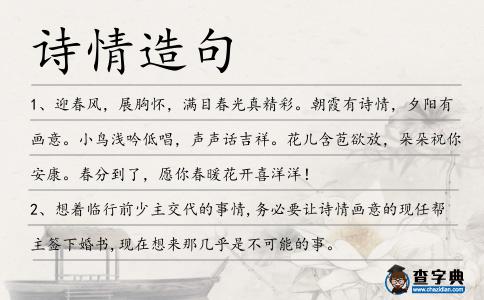 詩情造句