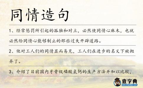 同情造句