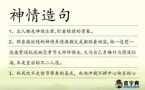 神情造句
