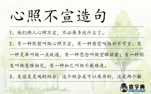 心照不宣造句